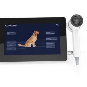 Vet Laser Therapy