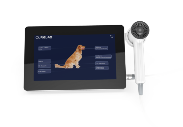 Vet Laser Therapy