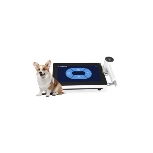Vet Laser Therapy